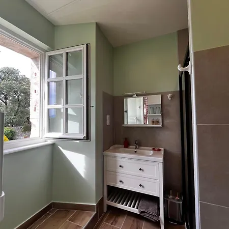 Chateau De Bed and breakfast Rousson (Gard)