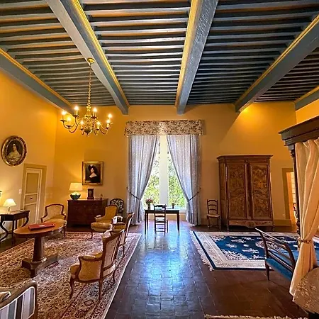 Bed & Breakfast Chateau De Rousson (Gard)