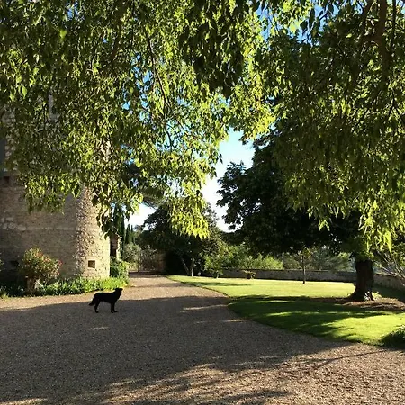Chateau De Rousson (Gard)